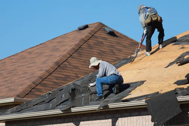 Fast & Reliable Emergency Roof Repairs in Utica, MI