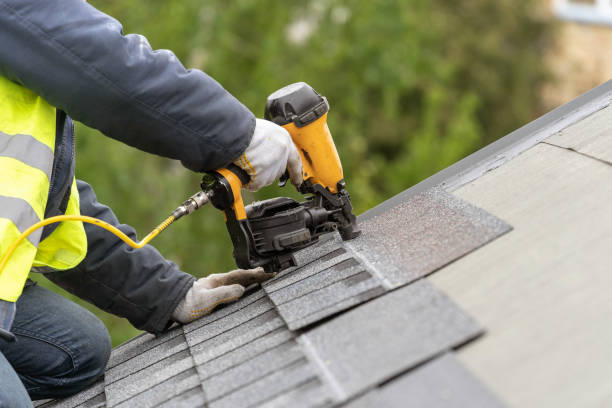 Best Roof Leak Repair  in Utica, MI